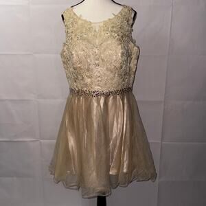 ELIZABETH by GLS Champagne Party Prom Sequin Beaded Dress women’s size XL